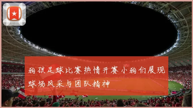 狗孩足球比赛热情开赛小狗们展现球场风采与团队精神