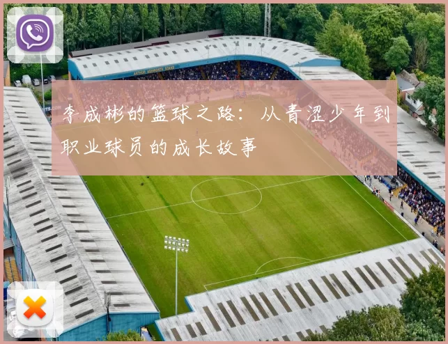李成彬的篮球之路：从青涩少年到职业球员的成长故事