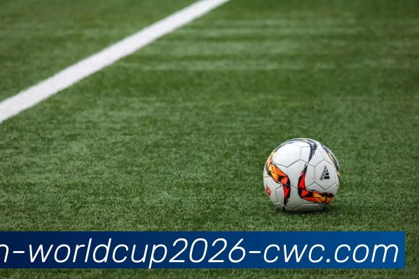 世俱杯平台生态图